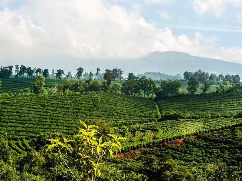 Costa Rica Travel Guide: Why This Beautiful Country Completely Won Me Over