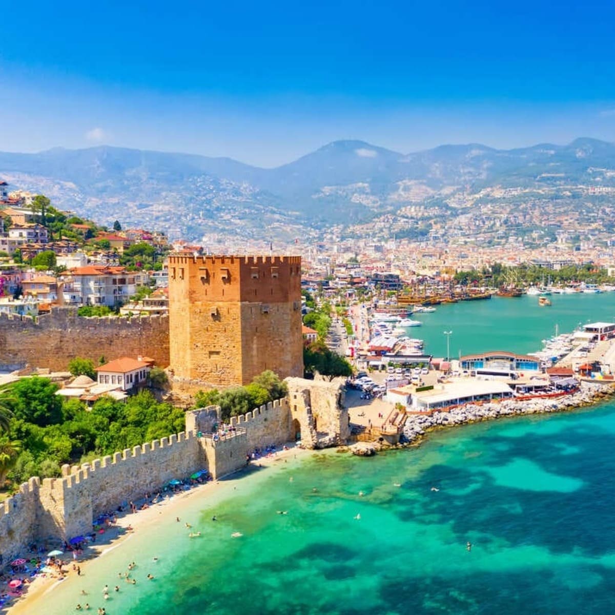 What is the real value of a travel agent?