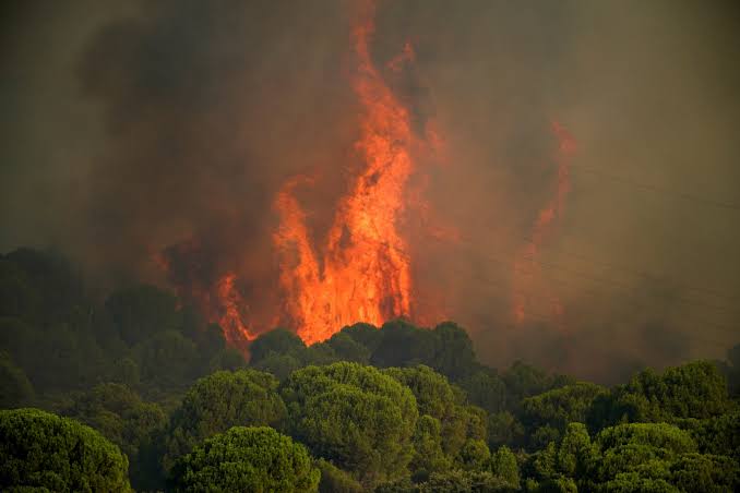 Bordeaux Under Smoke: What Travellers Need to Know as Wildfires Close In. Tourists urged to stay away from French region as wildfires threaten Bordeaux
