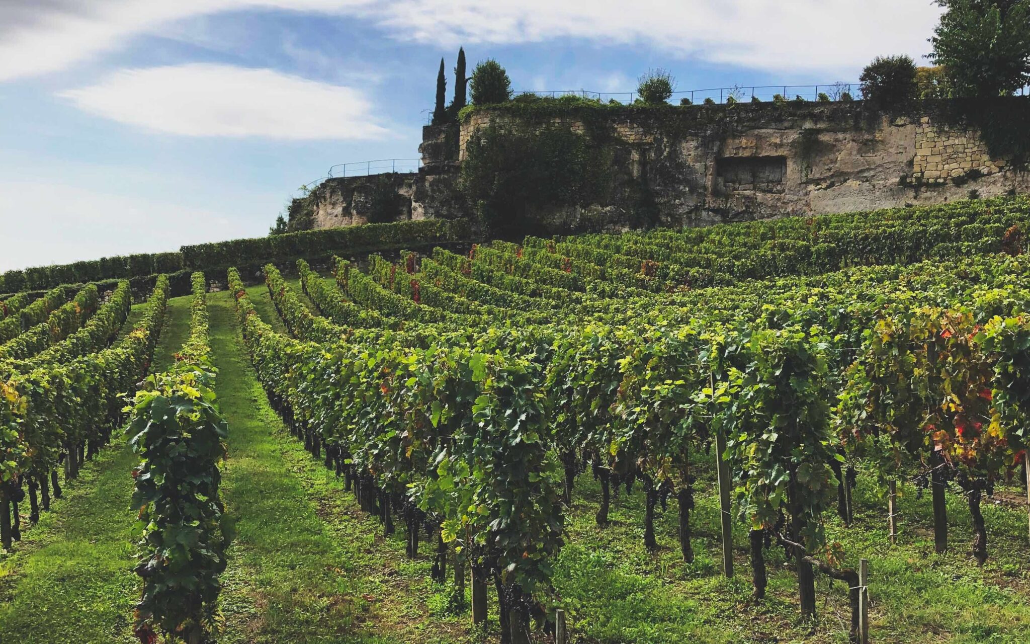 Best European Wine Tasting & Vineyard Tours for 2026: Top Wine Regions to Visit